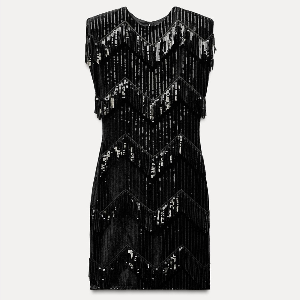 Zara | Velvet mini dress with fringe appliqué | sequins | Sleeveless | Black